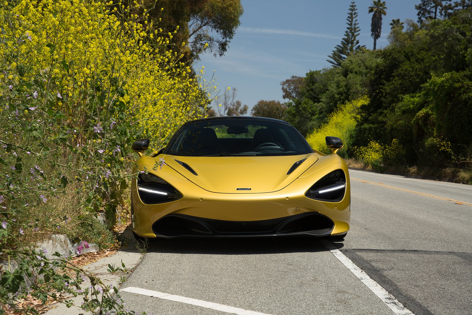 luxury-cars